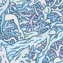 detail1