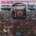 sha-na-na-rock-&-roll-is-here-to-stay