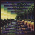fleetwood-mac-the-alternate-tango-in-the-night