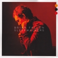 brian-fallon-sleepwalkers