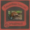 stringband-canadian-sunsetb copy
