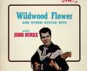 john-burke-wildwood-flower
