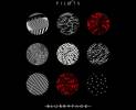 twenty-one-pilots-blurryface