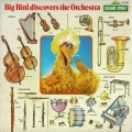 Big-Bird-discovers-the-orchestra
