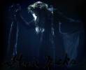 Stevie-nicks-the-24-karat-gold-tour