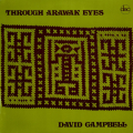 david-campbell-through-arawak-eyes