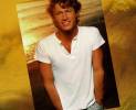 Andy-Gibbs-Greatest-Hits