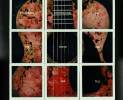 Dashboard-confessional-all-the-truth-that-i-can-tell