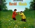 Harold-and-maude-2