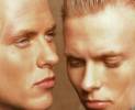 bros-too-much