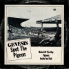 genesis-spot-the-pigeon