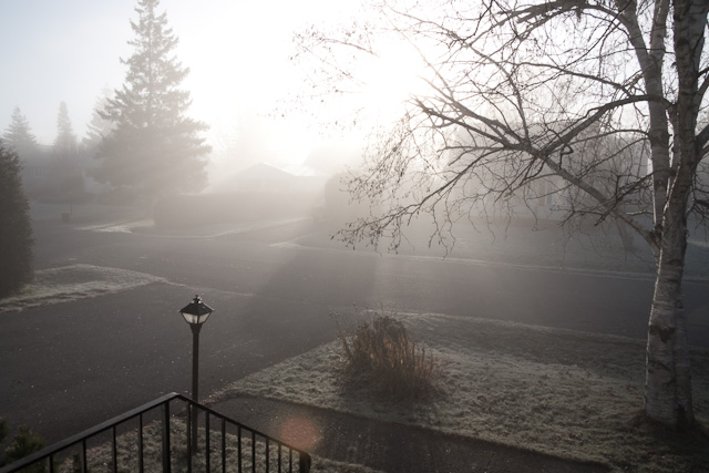 Foggy Morning