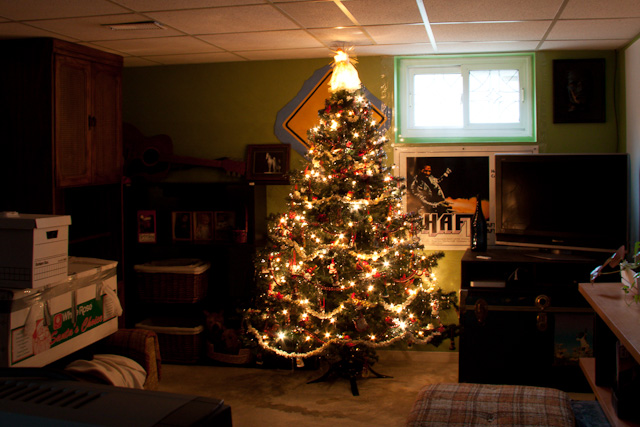 The second of the Christmas trees.