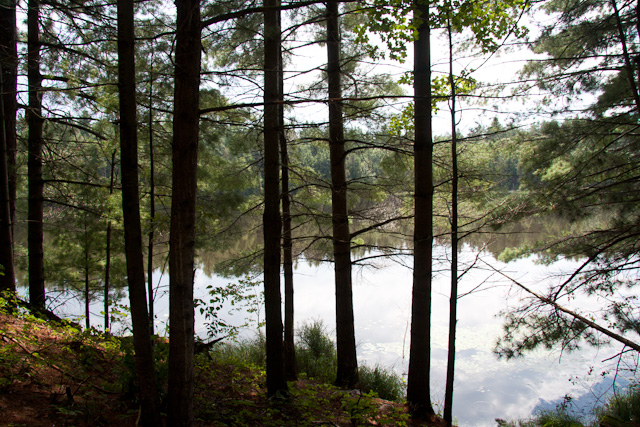 A Day at a Lake