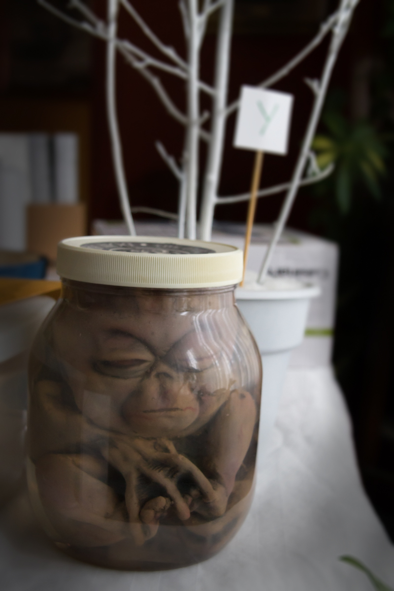 Alien Fetus in a Jar