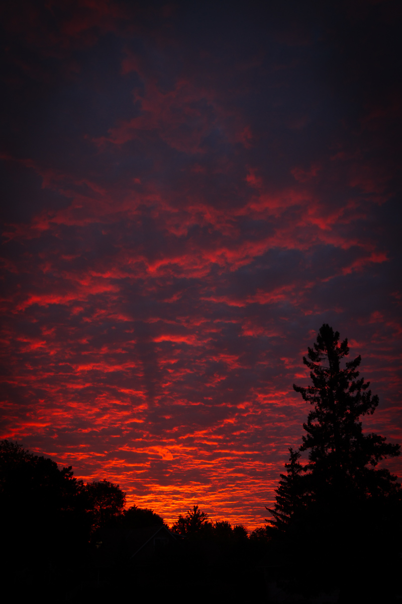 Red Sky At Morning