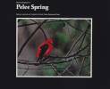 pelee-spring