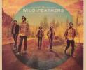 the-wild-feathers