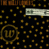 the-wallflowers-bringing-down-the-horse