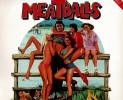 meatballs