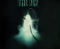 the-fly