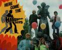 here-come-the-hardy-boys