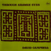 david-campbell-through-arawak-eyes