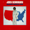 joey-scarbury-americas-greatest-hero